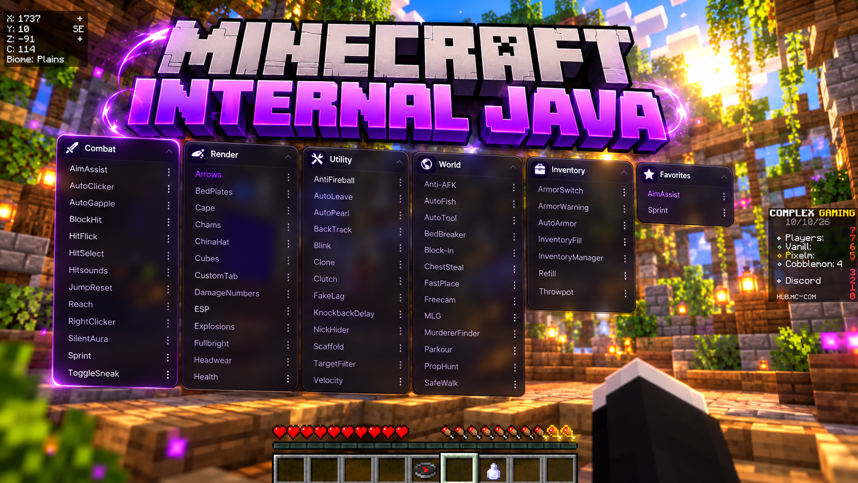 Minecraft Internal Java
